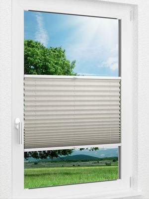LYSEL HOME Plissee 224A Torpo BO Fensteransicht