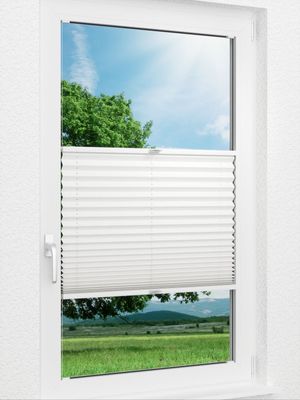Plissee Basic B1 11.04.11 Fensteransicht