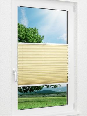 Structure Effective 94.06.12 Fensteransicht