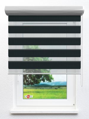 Simply Doppelrollo Seisia 53.63d Fensteransicht