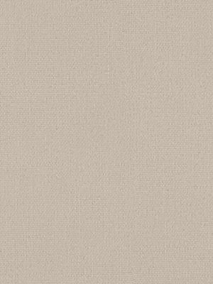 Rollo Daily Uni 30.850 Detailansicht