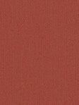 Rollo Daily Uni 23.850