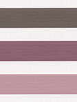 Doppelrollo Colorgrade 10.821