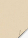 VD Rollo Privatex Dark 81.151 VD Rollo Privatex Dark 81.151