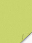VD Rollo Privatex Dark 09.151 VD Rollo Privatex Dark 09.151