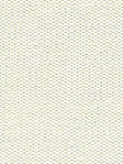 Terapo Blackout 07.52d Terapo Blackout 07.52d