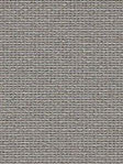 Grey 41.62d