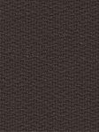 Brown 52.62d Brown 52.62d