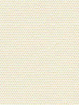 Terapo 16.62d Terapo 16.62d