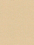 Terapo 41.72d Terapo 41.72d