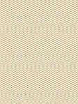 Terapo Blackout 12.72d Terapo Blackout 12.72d