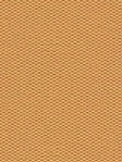 Terapo Blackout 15.72d Terapo Blackout 15.72d