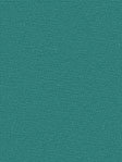 Terapo Blackout 57.72d Terapo Blackout 57.72d
