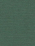 Lameiro Blackout 19.72d Lameiro Blackout 19.72d