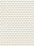 Rakia 02.82d