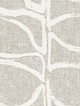 Rollo Graphically 17.382