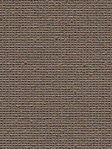 Masusu 01.92d Masusu 01.92d