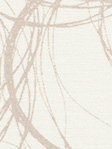 Rollo Sketched 00.457 Rollo Sketched 00.457